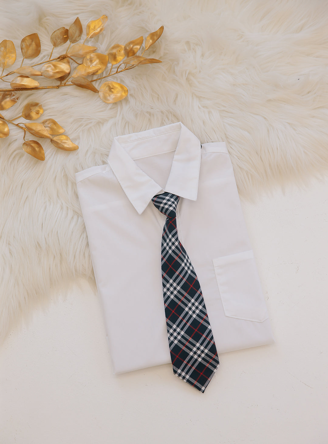 Argyle Navy Check Pattern Tie