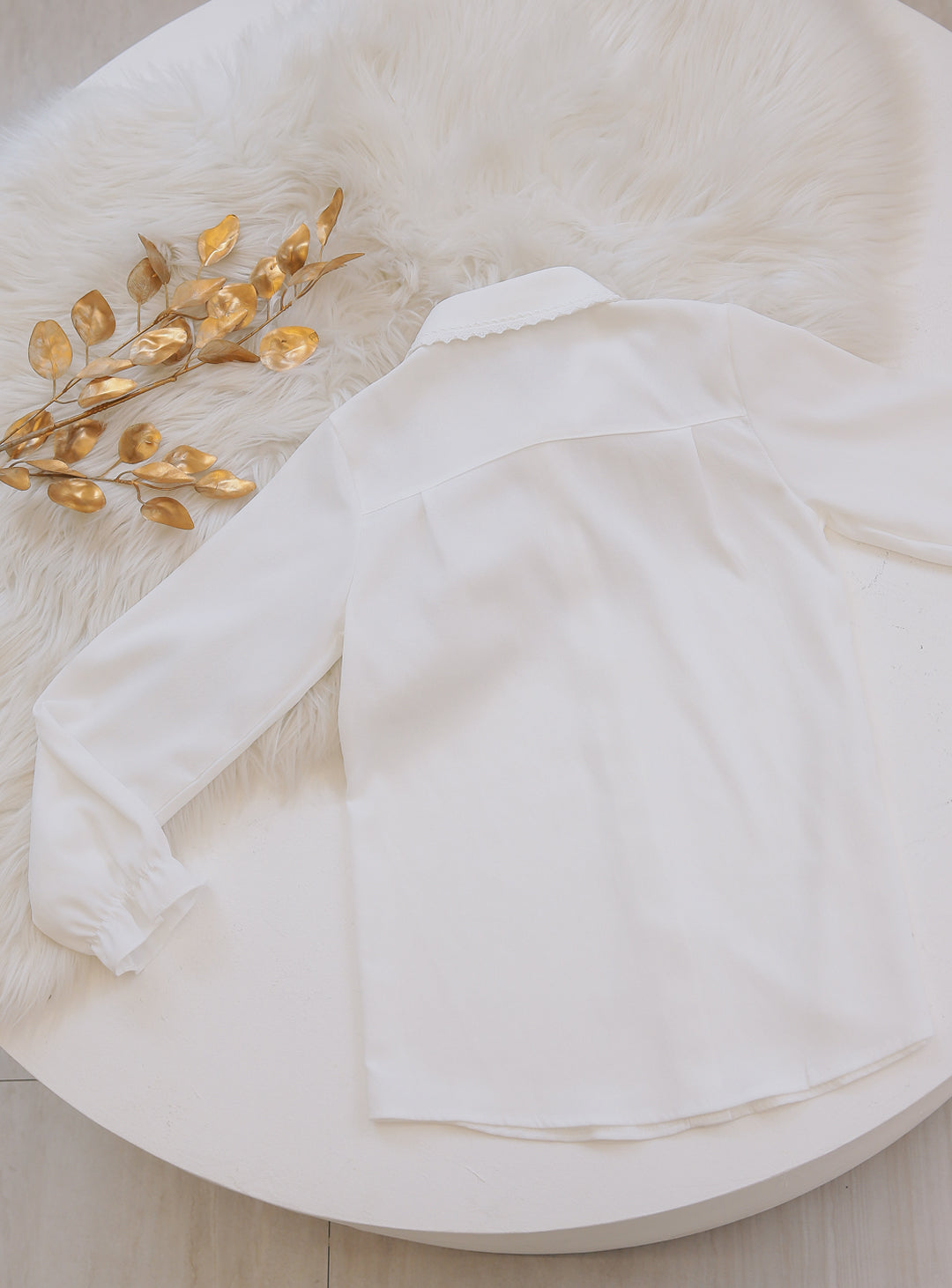 レースカラーブラウス