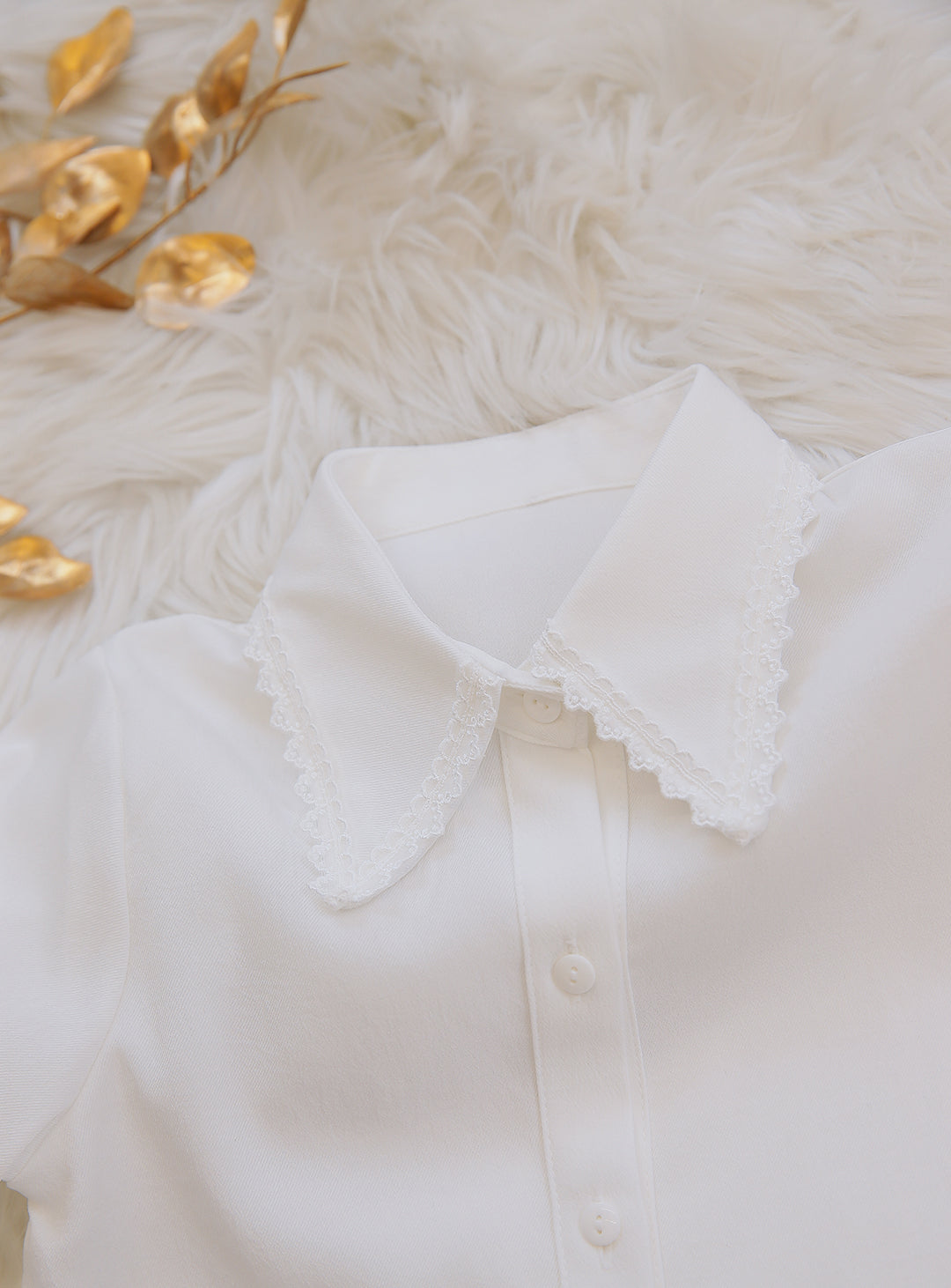 レースカラーブラウス