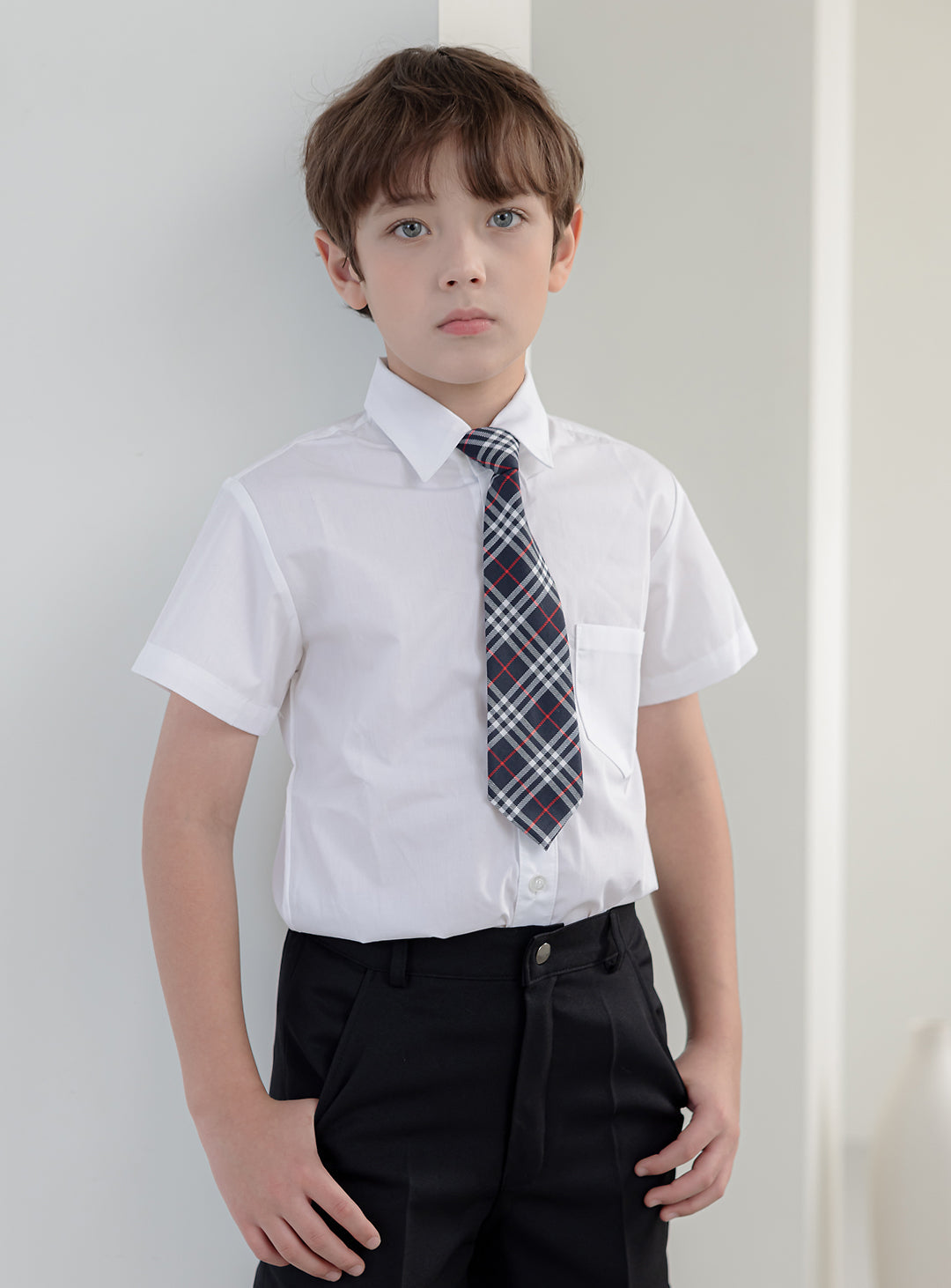 Argyle Navy Check Pattern Tie