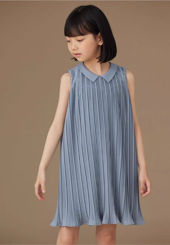 K40704 - Skyline pleated dress