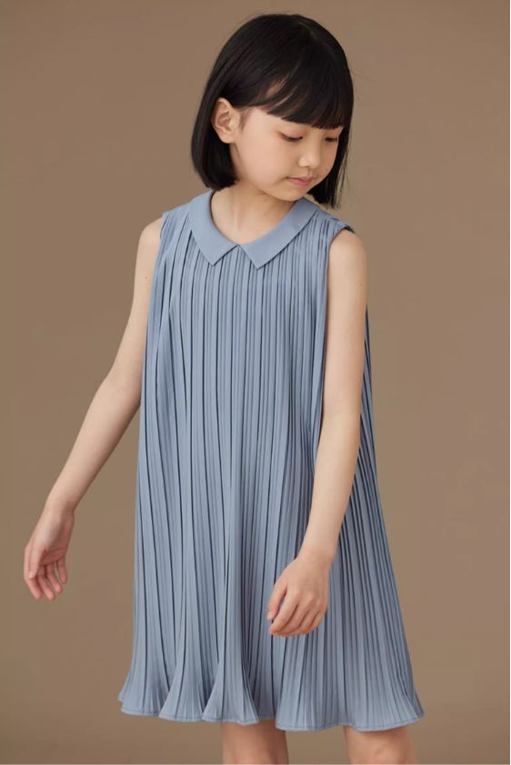 K40704 - Skyline pleated dress