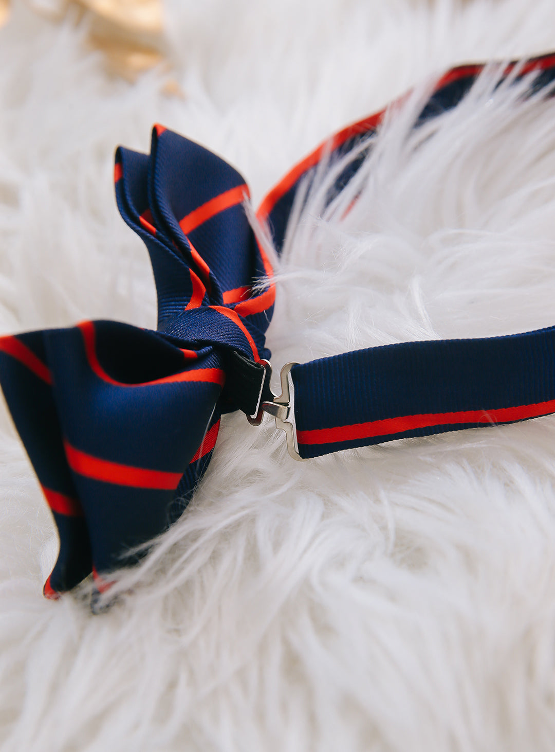 Navy and red regiment stripe bow tie