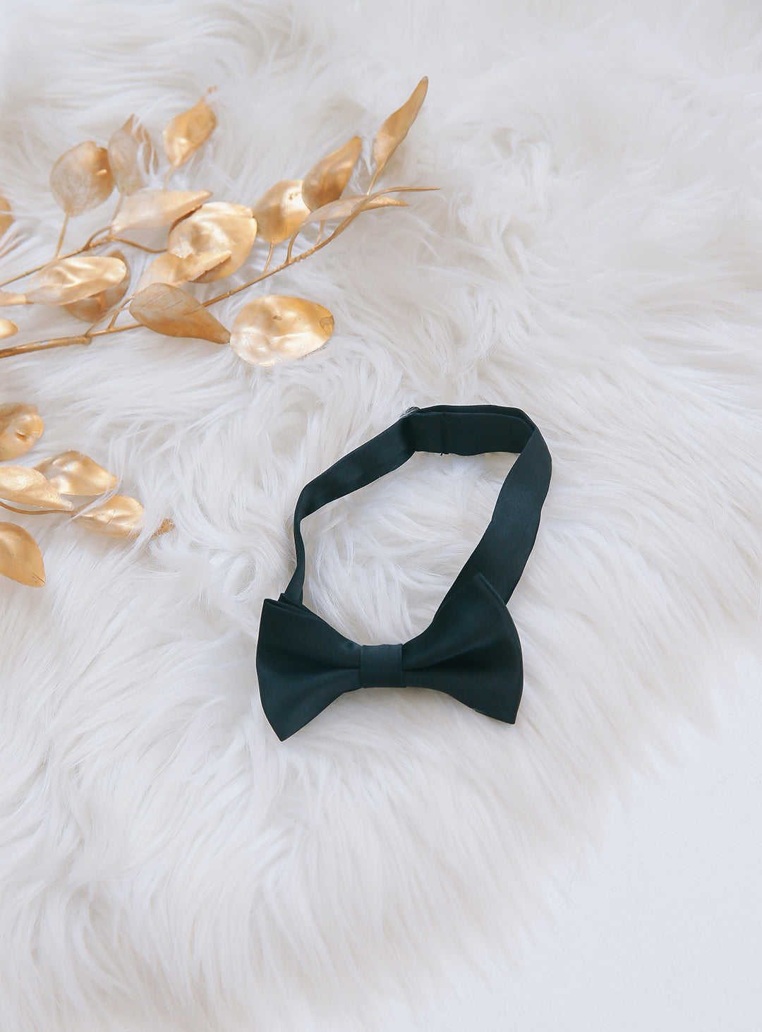 Cummerbund & Bow Tie Set (Black)