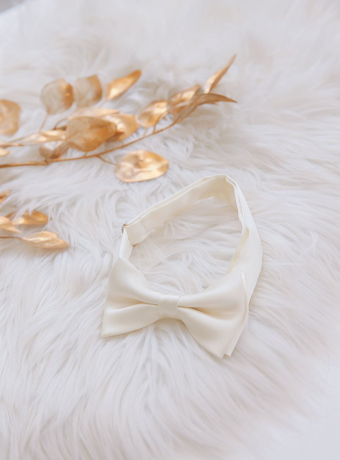 Cummerbund & Bow Tie Set (Ivory)