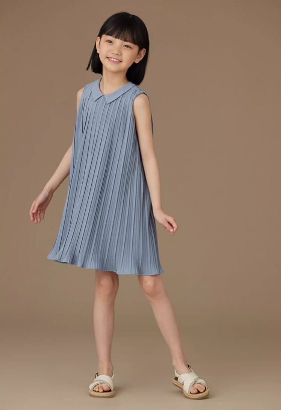 K40704 - Skyline pleated dress