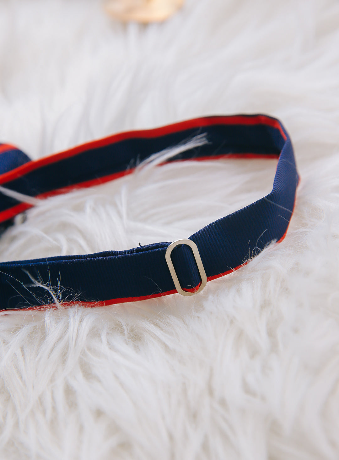 Navy and red regiment stripe bow tie