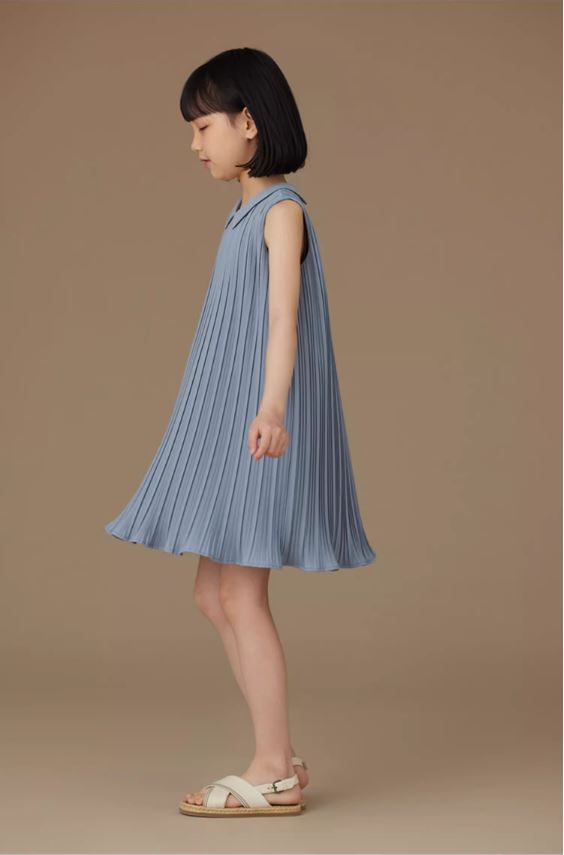 K40704 - Skyline pleated dress