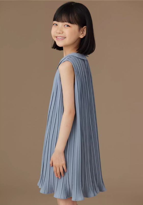 K40704 - Skyline pleated dress